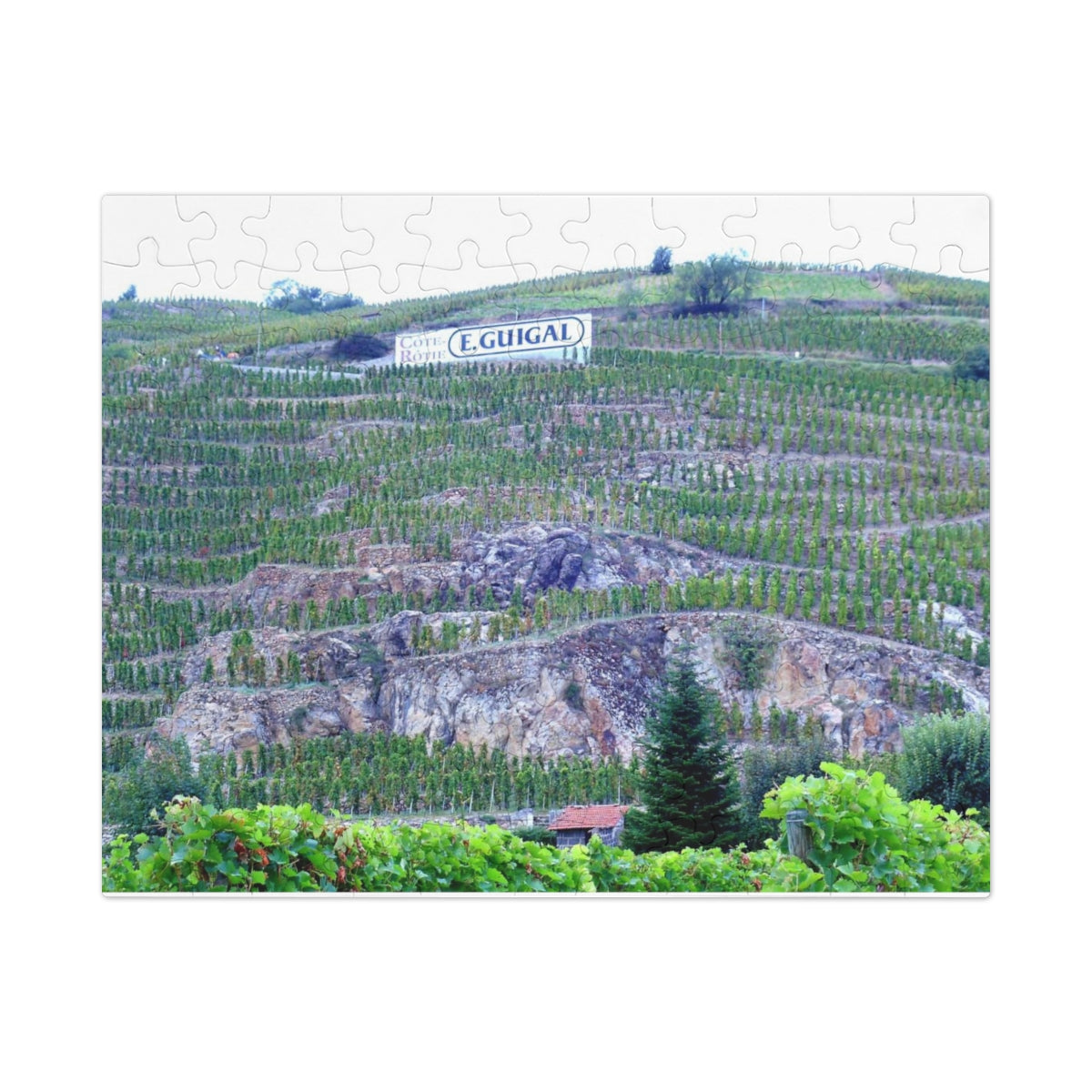 Cote Rotie Rhone Jigsaw Puzzle (30, 110, 252, 500,1000-Piece)