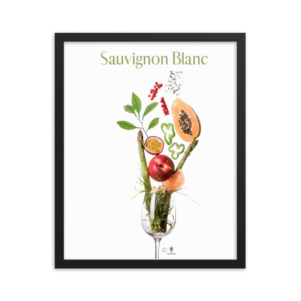 Sauvignon Blanc Framed photo paper poster