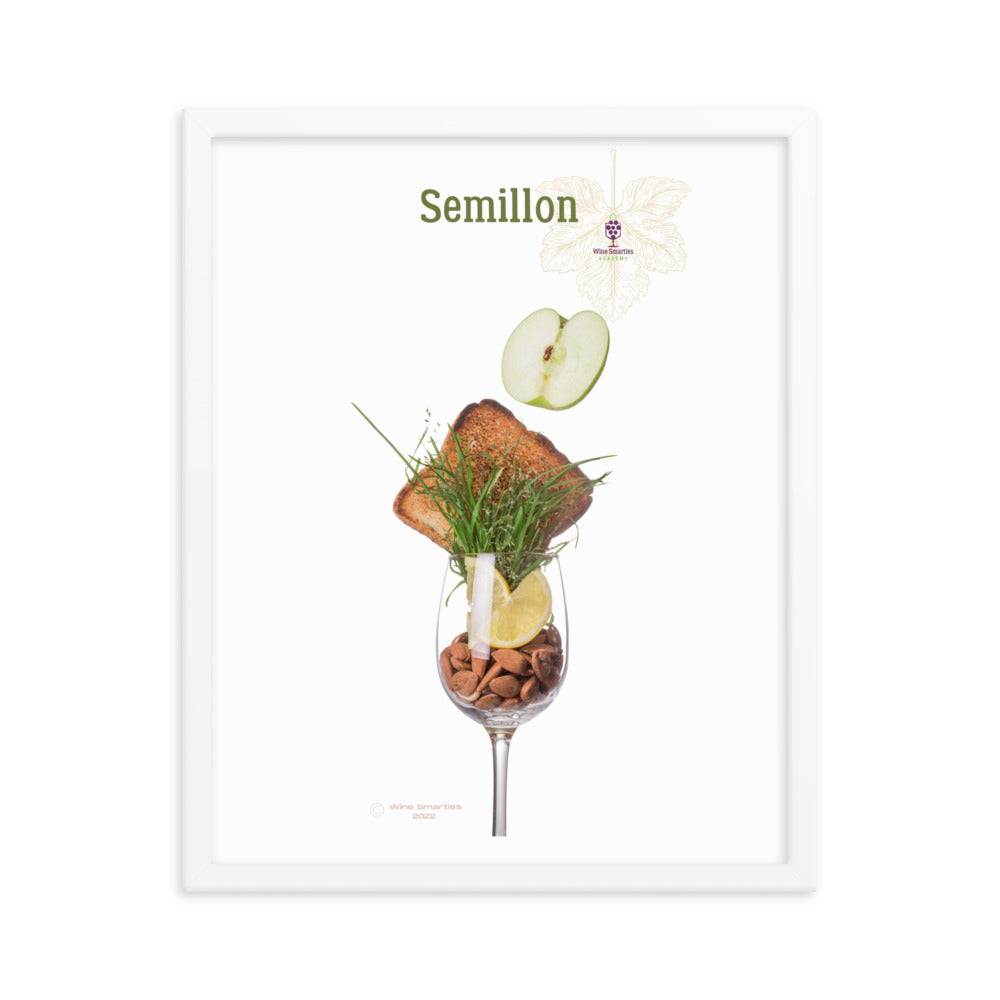 Semillon Framed photo paper poster