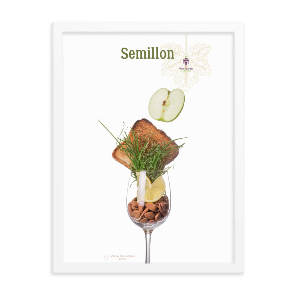 Semillon Framed photo paper poster