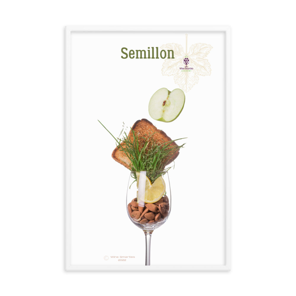 Semillon Framed photo paper poster